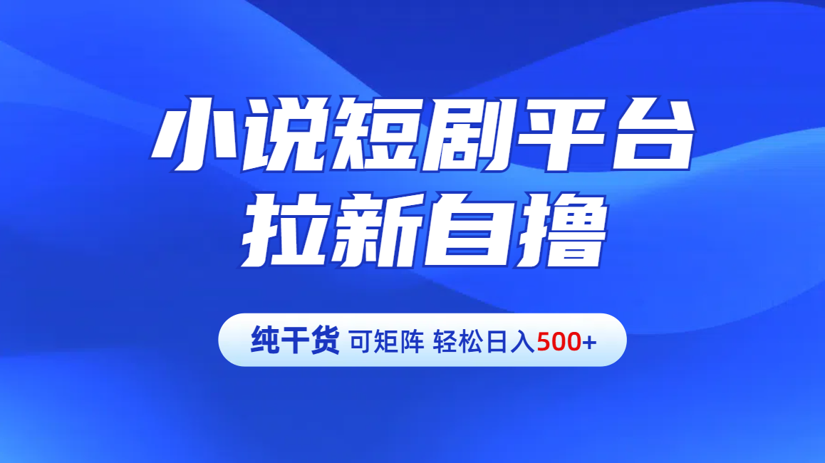 纯干货】小说短剧平台拉新自撸玩法详解-单人轻松日入500+-蓝海项目网_项目资源_网络赚钱副业分享_创业项目_兼职副业_中创网_抖音教程